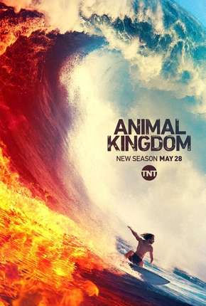 Animal Kingdom - 4ª Temporada Legendada  Torrent