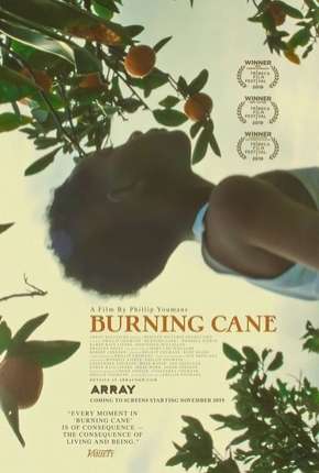 Burning Cane - Legendado  Torrent