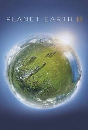 Planeta Terra - 2ª Temporada Dublada Torrent