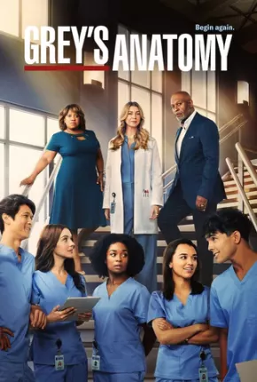 Greys Anatomy - 19ª Temporada Dual Áudio Torrent