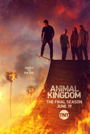 Animal Kingdom - 6ª Temporada Legendada  Torrent