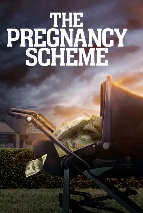The Pregnancy Scheme - Legendado  Torrent