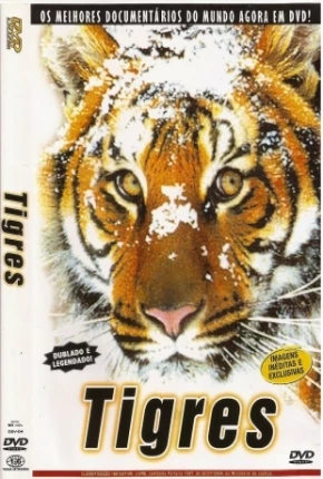 Tigres / Na Sombra do Tigre Dublado 